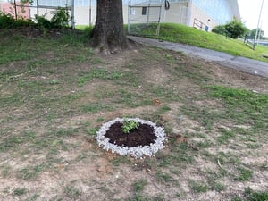 May 31, 2022 at 6_09 PM